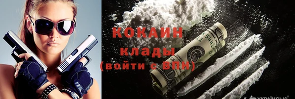 сатива Вязьма