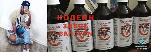 PSILOCYBIN Гусиноозёрск
