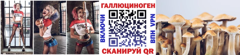 ОМГ ОМГ tor  Златоуст  Галлюциногенные грибы MAGIC MUSHROOMS 